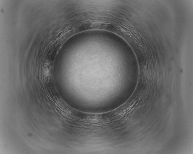 X0000087380914200704271553