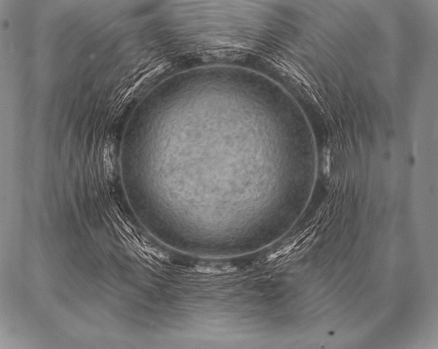 X0000087380915200704271553