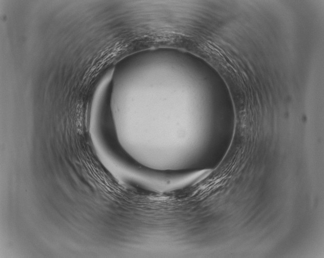 X0000087380916200704271553