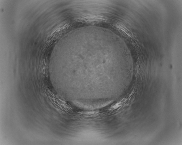 X0000087380917200704271553