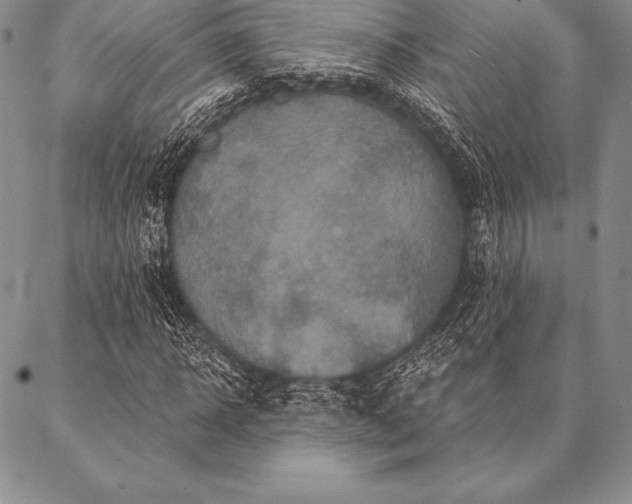 X0000087380918200704271553