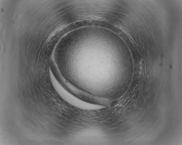 X0000087380919200704271553