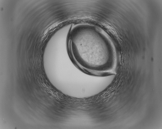 X0000087380920200704271553