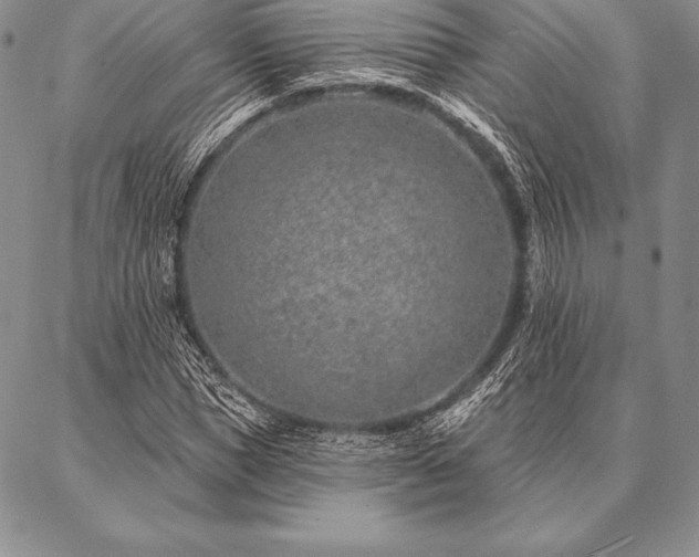 X0000087380921200704271553