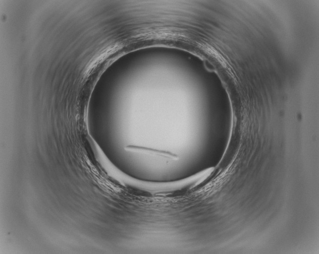 X0000087380922200704271553