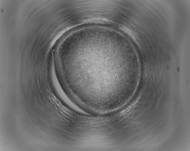 X0000087380923200704271553