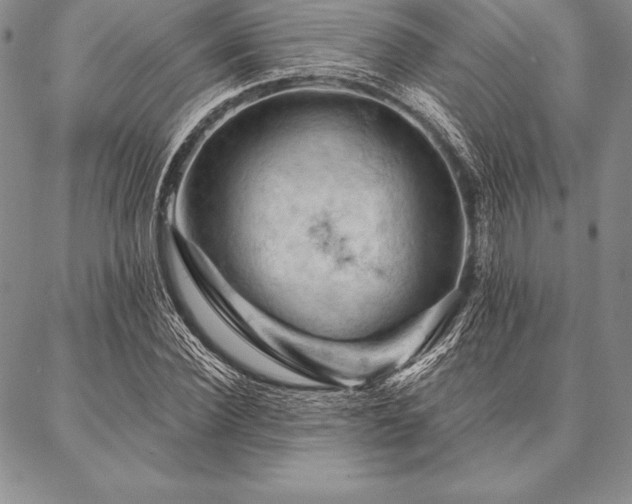 X0000087380924200704271553