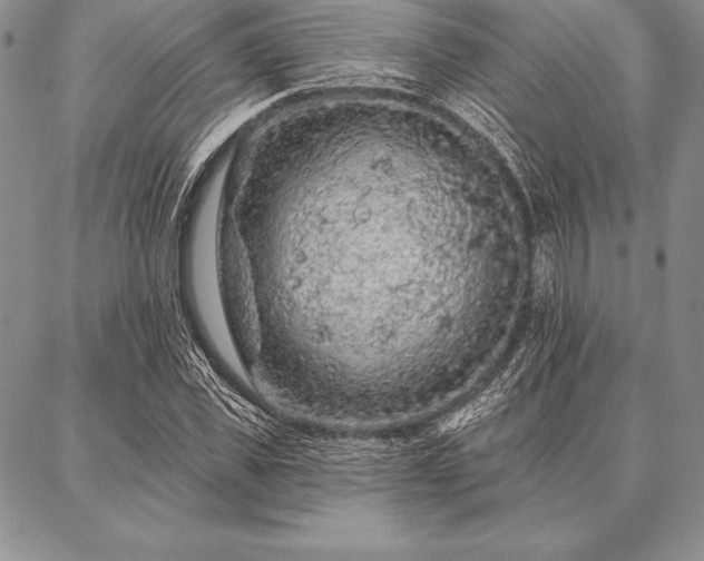 X0000087380925200704271553