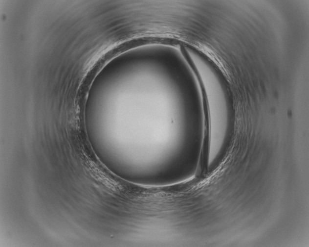 X0000087380926200704271553