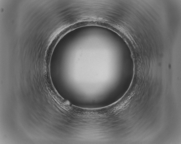 X0000087380927200704271553