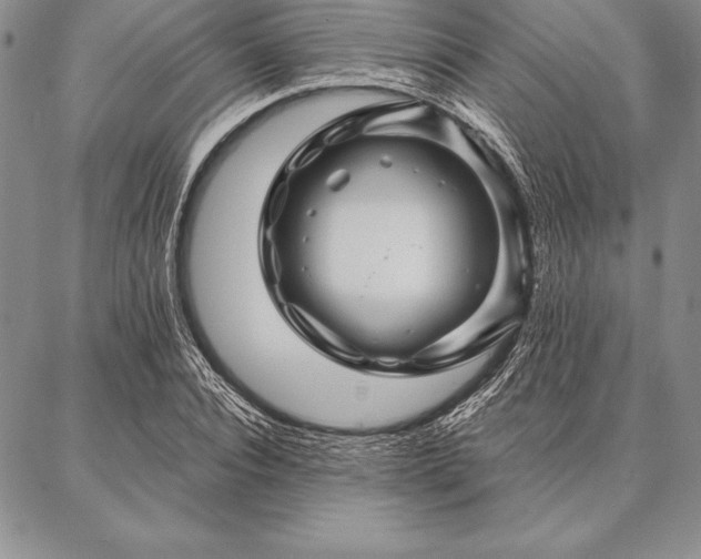 X0000087380928200704271553