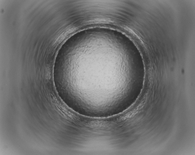 X0000087380929200704271553