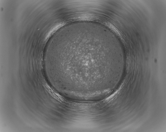 X0000087380930200704271553