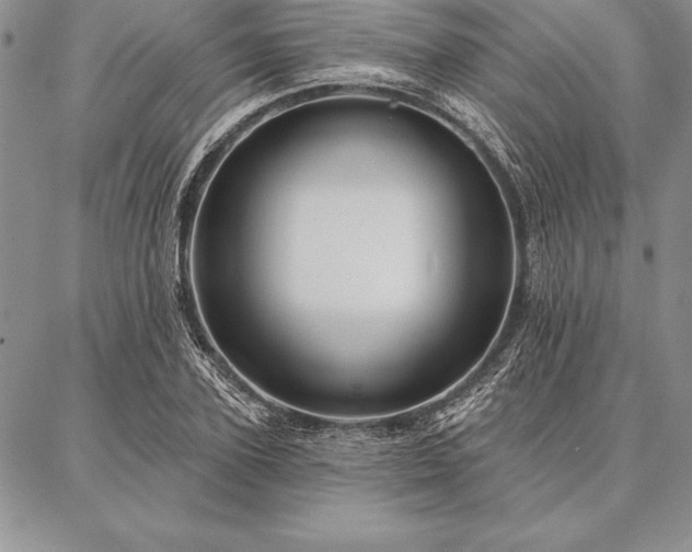 X0000087380931200704271553