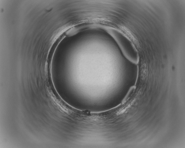 X0000087380932200704271553