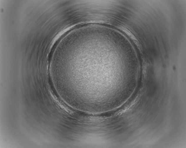 X0000087380933200704271553