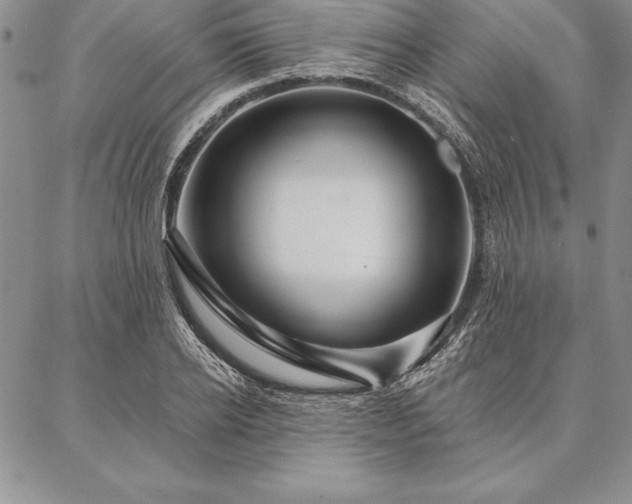 X0000087380934200704271553