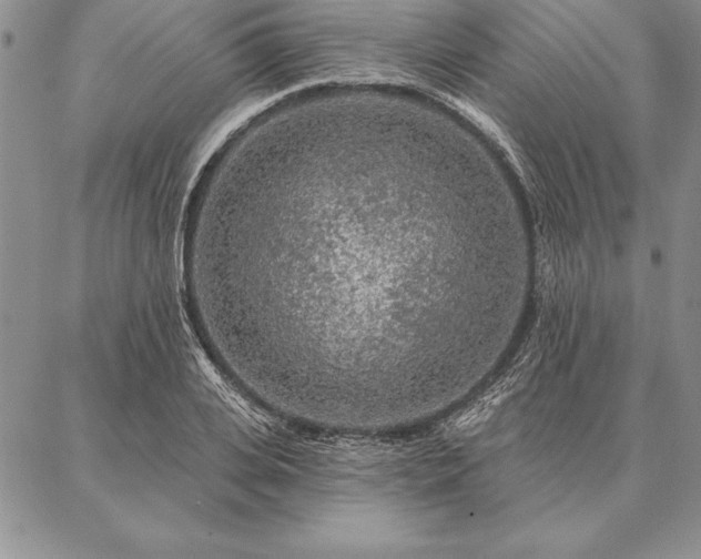 X0000087380935200704271553