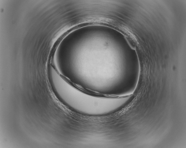 X0000087380936200704271554