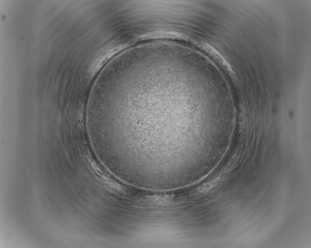 X0000087380937200704271554