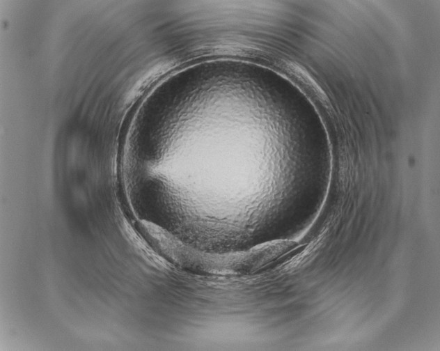 X0000087380938200704271554