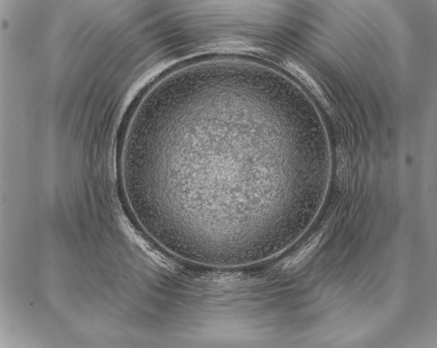 X0000087380939200704271554