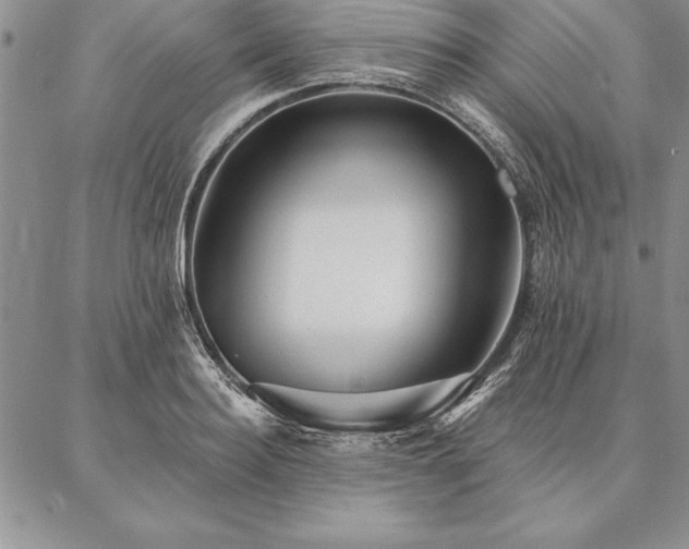 X0000087380940200704271554