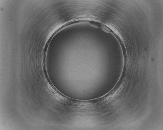 X0000087380941200704271554