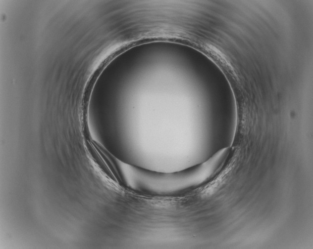 X0000087380942200704271554