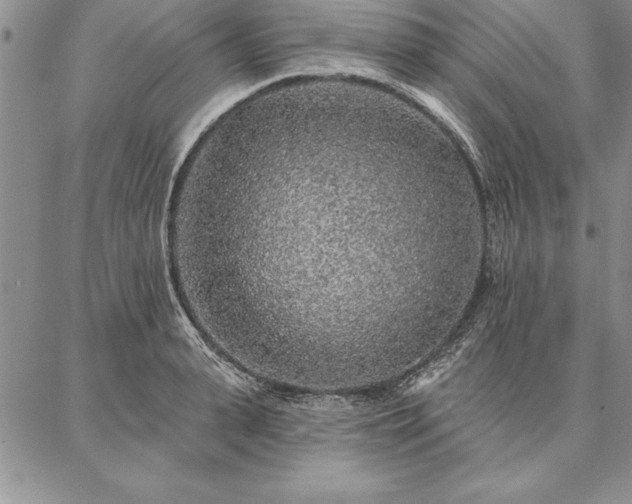 X0000087380943200704271554