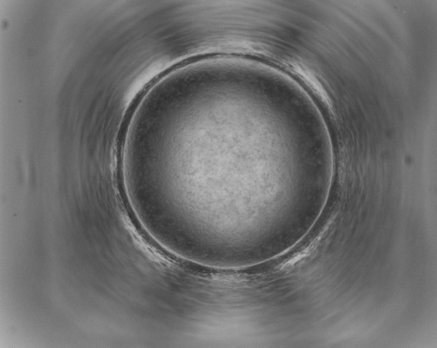 X0000087380944200704271554