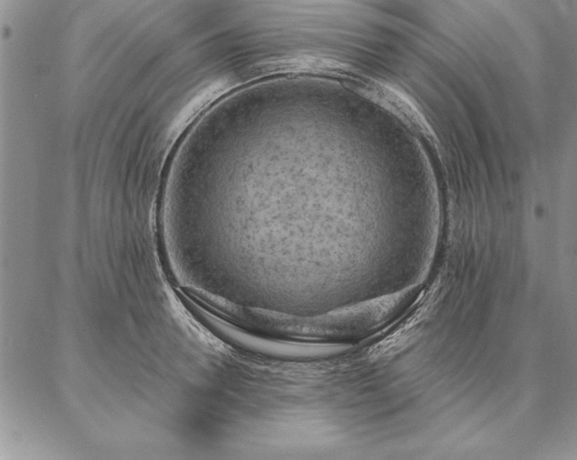 X0000087380946200704271554