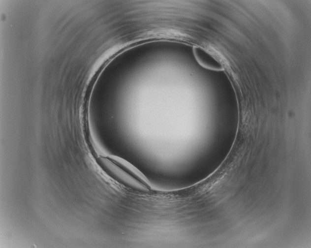 X0000087380947200704271554