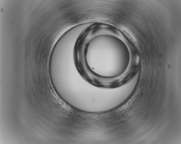 X0000087380948200704271554