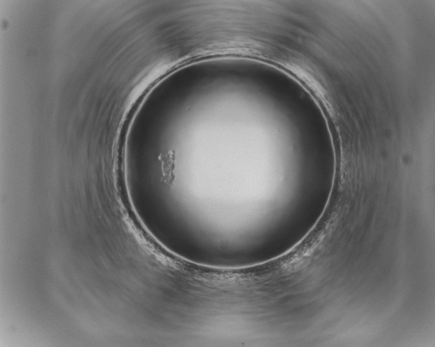 X0000087380949200704271554