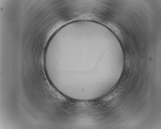 X0000087380950200704271554