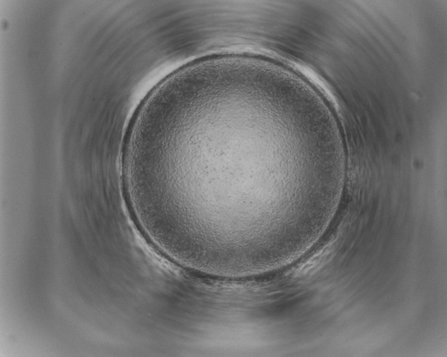 X0000087380951200704271554