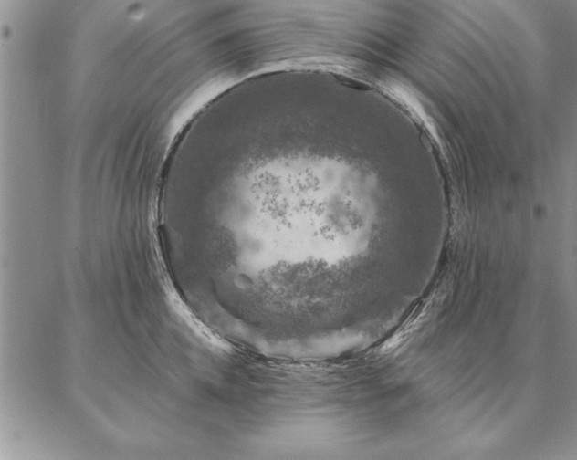 X0000087380952200704271554