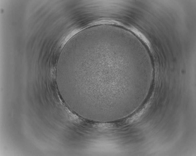 X0000087380953200704271554