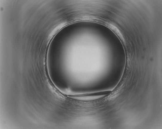 X0000087380954200704271554