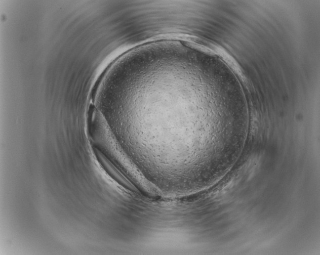 X0000087380955200704271554