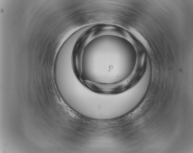 X0000087380956200704271554