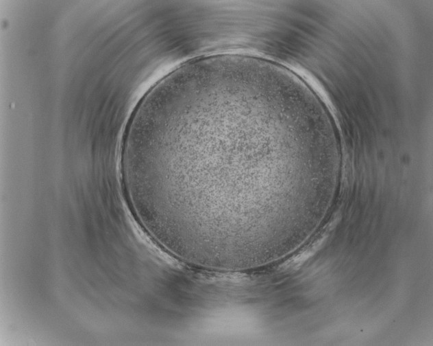 X0000087380957200704271554