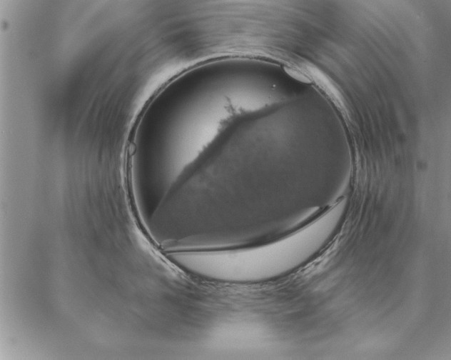 X0000087380958200704271554