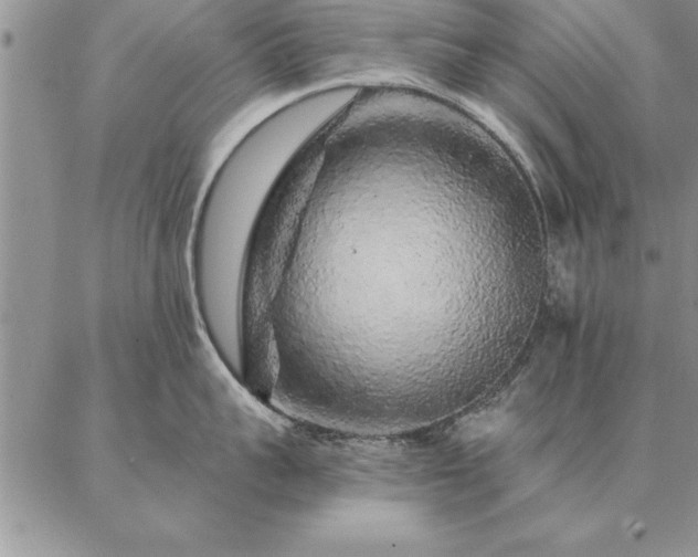 X0000087380959200704271554