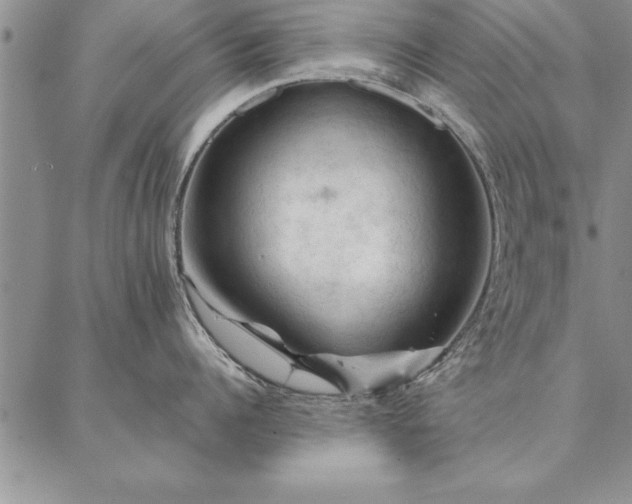 X0000087380960200704271554