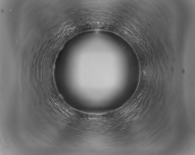 X0000087380961200704271553