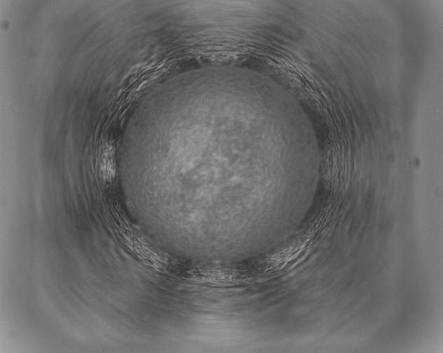 X0000087380962200704271553