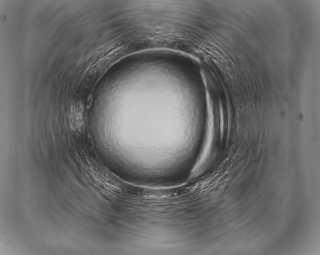 X0000087380963200704271553