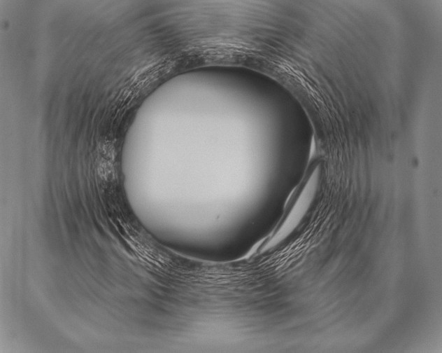 X0000087380964200704271553